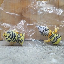 Nouvelle figurine Bandai