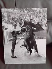 Photographie Dédicacée Ancienne Torero Taureau Tauromachie 40x30 cm
