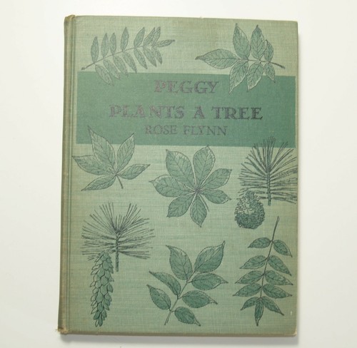 Peggy plants tree rose - a,