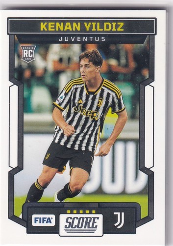 Cartes football panini fifa - football,
