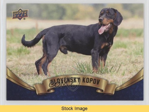 2018 upper deck canine - upper,