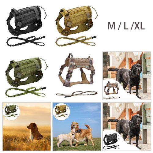 Harnais pour chien léger