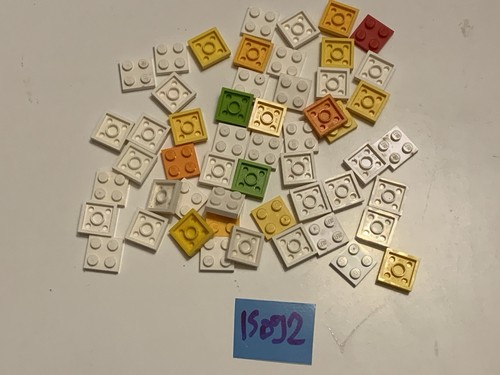 Lot pièces lego plaques - lot,