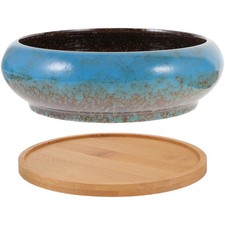  Pot Pour Bonsai Mini De Fleur