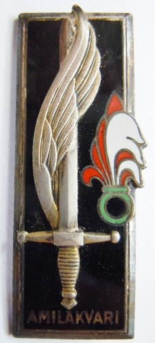 Insigne legion etrangere - insigne,
