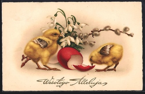 Carte postale poussins - , de