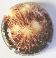 Capsule de champagne