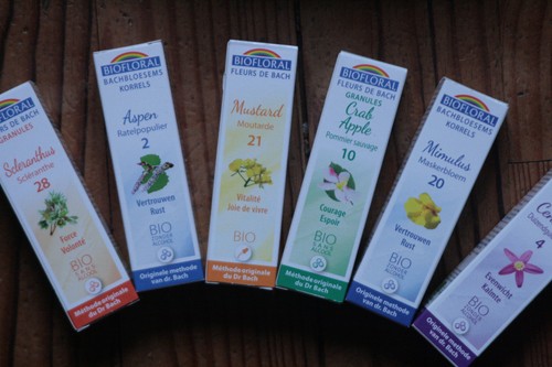 Fleurs bach bio - fleurs,