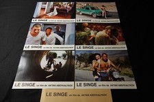 LE SINGE  Maimil Aktan