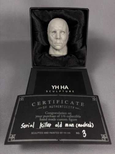Custom head sculpt yh - sculpt,