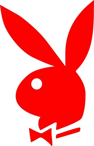 Playboy bunny vinyl decal - playboy,