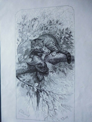 Engraving hunting a - *19°,