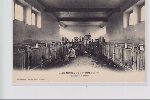 Maisons alfort ecole - alfort,