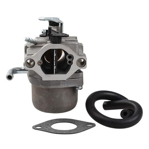 Carburateur briggs stratton - carburateur,