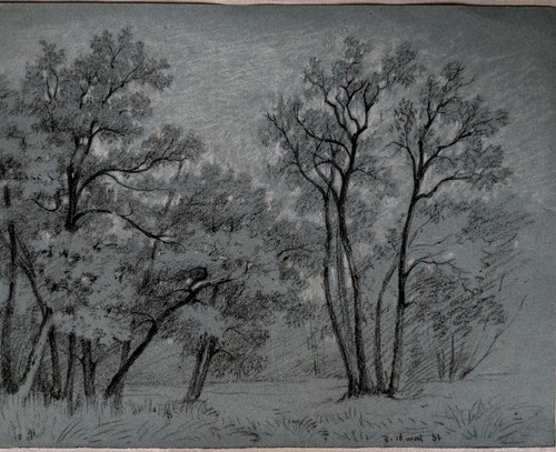 Theophile chauvel dessin - theophile,