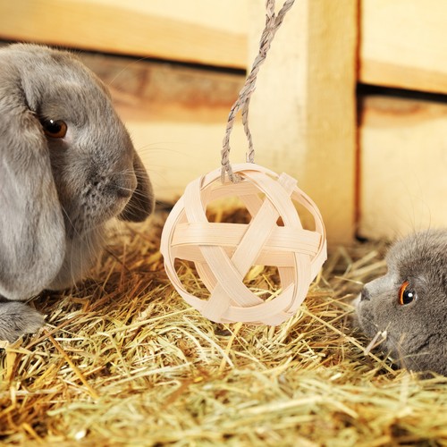 Cage lapin suspendu - ,