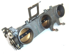 Corps De Papillon Triumph