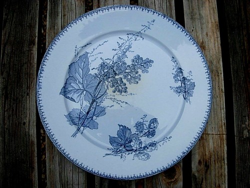 Rare assiette bleu ancienne - rare,