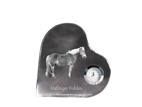 Haflinger fohlen horloge - fohlen,