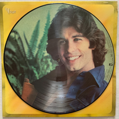 Disque 33t picture disc - 33t,