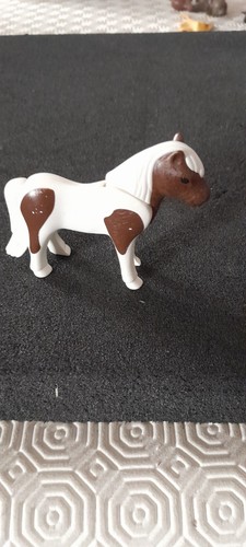 Animal poney centre equestre - animal,