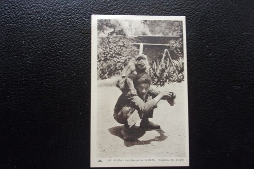 Algerie carte postale blida - -,