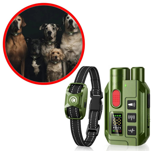 Collier dressage chien 1000m - dressage,