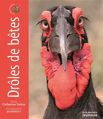 Drôles bêtes catherine - de,