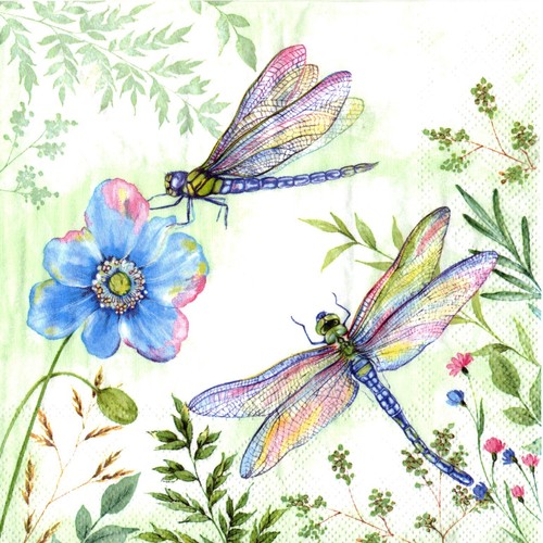 Serviettes papier libellule - en,
