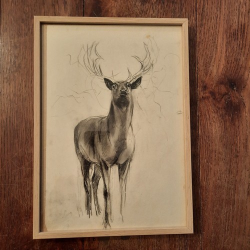Dessin ancien animalier - dessin, fond