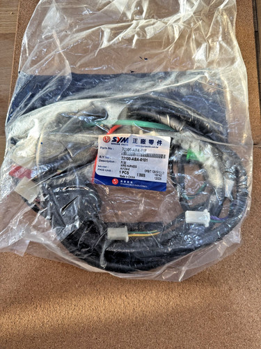 New genuine sym - genuine, orbit