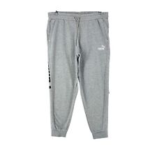 PUMA Hommes Gris Regular Fit