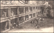 LA PELLERINE (49) - Lapinière