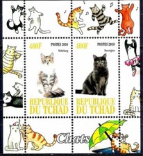 Chats Animaux de compagnie Nebelung Norvégien Domestique Animaux m s MNH