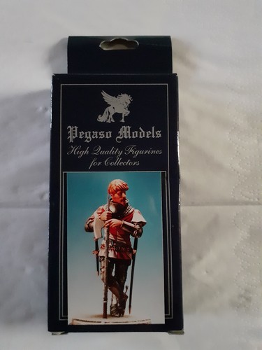 Pegaso models 006 - models, "sir