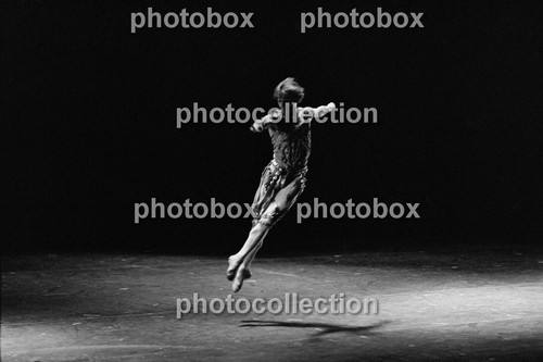 Rudolf nureyev noureev - /,