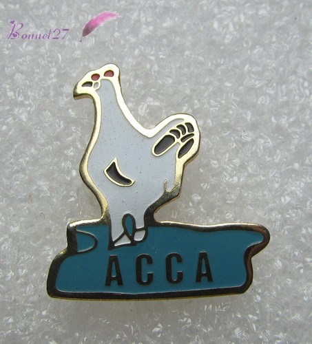 Pin animal coq poule acca - animal,