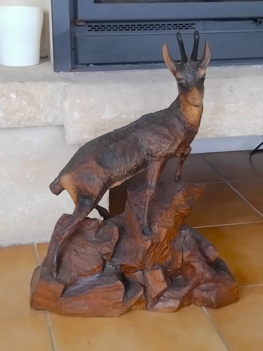 Grand chamois bouquetin - , en