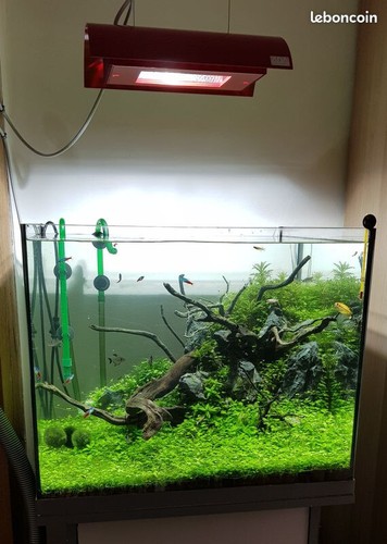 Lampe aquarium hqi ada - solar, 1