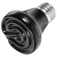  Accessoires De Dragon Barbu