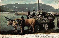 CPA AK Caretta di Bovi ITALY (496253)