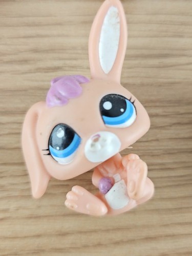 Littlest petshop lps - my,