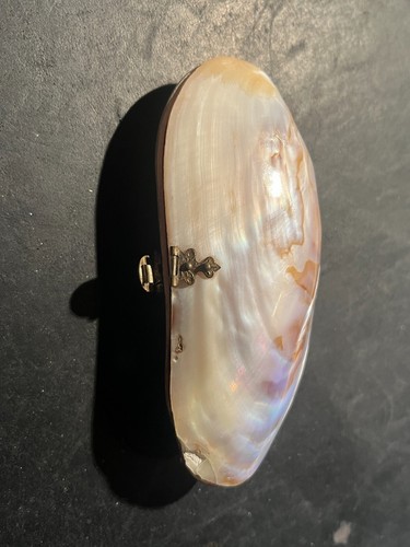 Gros mollusque transformé - , en