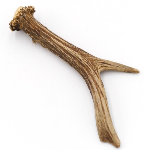Bois cerf longueur - de, 17