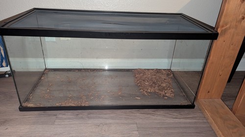 Glass reptile terrarium - reptile, tank