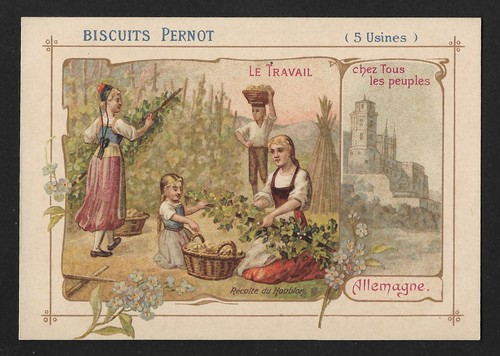 Biscuits pernot chromo litho - biscuits,