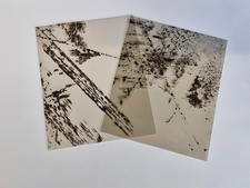 Lot de 2 feuilles de Mica de