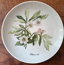 N°1: jolie assiette murale ∅ 19,5 cm porcelaine KAISER décor Rose de Noël  CA05