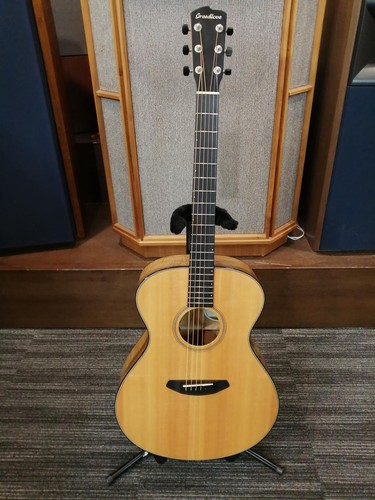 Guitare électrique acoustique