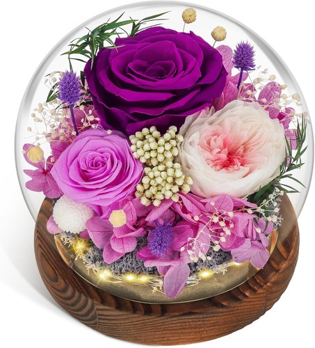 Rose éternelle cadeau - rose,